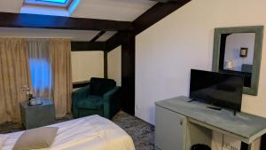 TV a/nebo společenská místnost v ubytování Hotel Regina