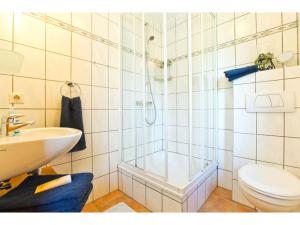 un bagno con doccia, WC e lavandino di Ferienhof Ebsen a Langenhorn