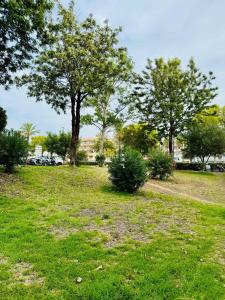 Zahrada ubytování Amazing Space - 4 Bedroom