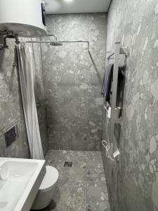 a bathroom with a shower and a toilet and a sink at 15 New Airport Apartment in Vilnius