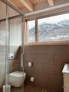 a bathroom with a toilet and a glass shower at Mountain 4U in Meiringen +7 photos