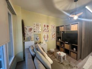 Μια τηλεόραση ή/και κέντρο ψυχαγωγίας στο Boho Med Corner