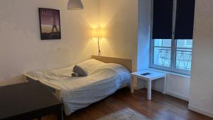 Postel nebo postele na pokoji v ubytování Les Studios de Clément