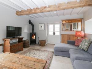a living room with a couch and a tv and a fireplace at Velindra Farm Cottage in Hereford