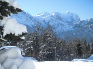 eine schneebedeckte Bergkette mit Schnee gedeckte Bäume in der Unterkunft Ferienwohnung Nägeliplatten - b48644 in Hasliberg + 3 Fotos