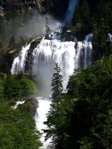 una cascata in mezzo a una foresta con alberi di Camping Le Coulédous ad Aulus-les-Bains