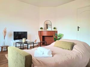een slaapkamer met een bed, een open haard en een televisie bij Le Sweet Escape - Vue Sur La Cathédrale in Beauvais