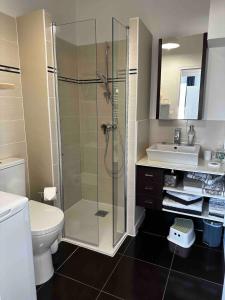 a bathroom with a shower and a toilet and a sink at 2-room apartment near Marais and CV in Bourges
