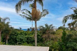 Příroda nedaleko penzionu