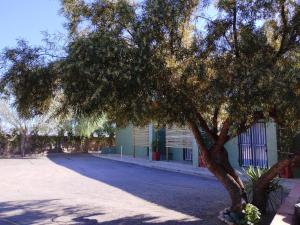 博福特西Windpomp Guesthouse的街道前的树