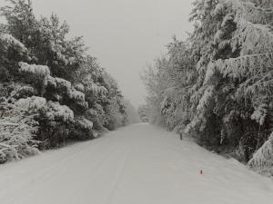 a snow covered road with trees on either side at ORLIK - pokoje gościnne in Uście Gorlickie