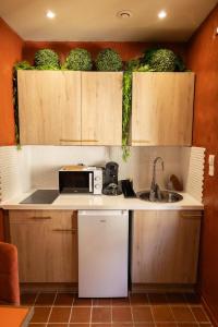 a kitchen with wooden cabinets and a sink and a microwave at Cosy Cloître, appartement authentique centre Arles in Arles +10 photos