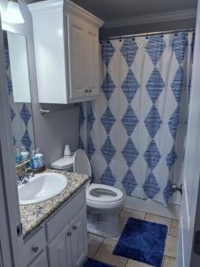 什里夫波特Charming, Quiet, South Shreveport Retreat King Bed的带水槽、马桶和淋浴的浴室 更多19张照片