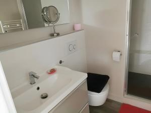 Koupelna v ubytování Gite Des Fougères + 12 fotografií