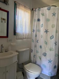 a bathroom with a toilet and a sink and a shower curtain at la cabanita pinamar in Pinamar