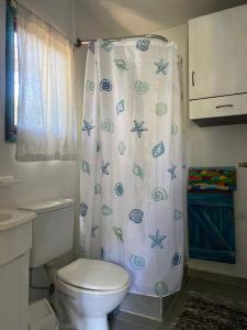 a bathroom with a toilet and a shower curtain at la cabanita pinamar in Pinamar