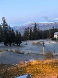 a snow covered field with trees and a fence at Le jas in Selonnet