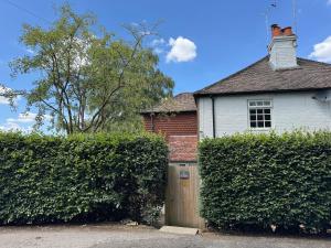 Budova, kde se prázdninový dům nachází + 18 fotografií