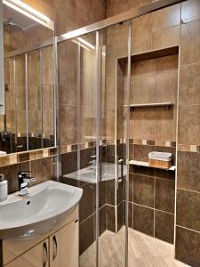 un bagno con lavandino e doccia in vetro di Apartmani Ćetković a Kotor (Cattaro)