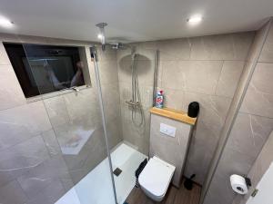 un baño con ducha y WC en Chez Fernand, en Hotton 9 fotos más