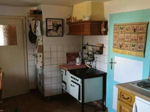 - une cuisine avec une cuisinière dans l'établissement Familienfreundliche Gemütliche Ferienwohnung In Luchau Mit Garten Und Grill -, à Glashütte