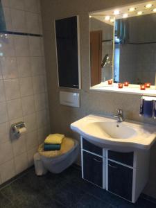 une salle de bain avec un lavabo, des toilettes et un miroir dans l'établissement Gemütliches Ferienhaus In Godow Mit Terrasse, à Kargow