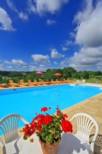 une piscine avec deux chaises et un pot de fleurs rouges dans l'établissement Chalet Le Tilleul, à Salignac Eyvigues