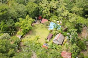 an aerial view of a house in the forest at Fundo Baños in Tarapoto