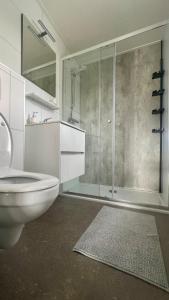 Un baño con inodoro y ducha de cristal. en 't Haasnestje, en Harderwijk