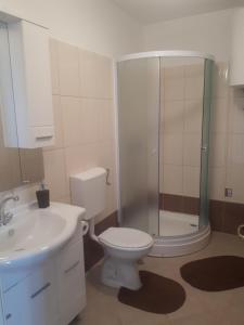 une salle de bains avec douche, toilettes et lavabo dans l'établissement Gemütliche Ferienwohnung Mit Toller Aussicht, à Dobreć 8 autres photos