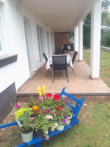 un chariot bleu rempli de fleurs et de plantes sur une terrasse dans l'établissement Gemütliche Ferienwohnung Mit Toller Aussicht, à Dobreć