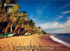 - une plage avec des palmiers et des bateaux dans l'établissement Aqua Bliss Resort & Villa Bentota, à Bentota