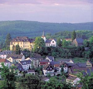 eine Stadt mit Häusern und einer Kirche auf einem Hügel in der Unterkunft Schöne Ferienwohnung In Daun Mit Garten in Daun