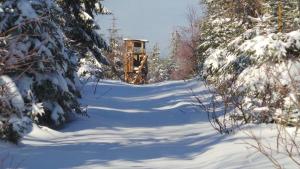 Το Fewo Am Skihang Og τον χειμώνα