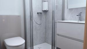 a bathroom with a shower and a toilet and a sink at Appartement cosy 1 chambre in Saxon