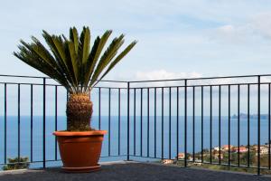 Nespecifikovaný výhled na moře nebo výhled na moře při pohledu z prázdninového domu