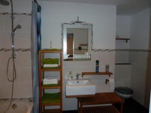 une salle de bain avec un lavabo, des toilettes et un miroir dans l'établissement Ferienwohnung Pügner, à Crottendorf 8 autres photos