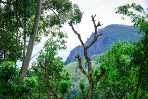 Příroda nedaleko ubytování v soukromí