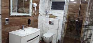 穆希纳ZŁOCKIE HILL spa的浴室里有马桶、洗手池和淋浴。