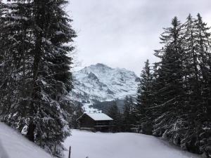 Το Katharina Von Allmen τον χειμώνα +11 φωτογραφίες