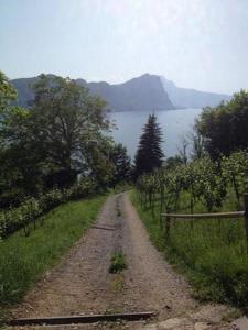 eine unbefestigte Straße mit einem Zaun und Blick auf das Wasser in der Unterkunft Ferienwohnung Mätzli in Vitznau + 3 Fotos