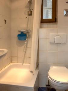 ein Badezimmer mit Dusche, Toilette und Waschbecken in der Unterkunft Ferienwohnung in Bad Elster mit Grill, Terrasse und Garten in Bad Elster