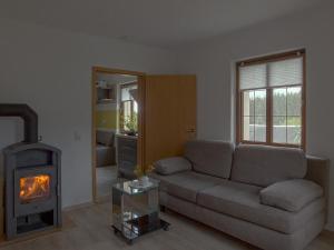 ein Wohnzimmer mit Couch und Kamin in der Unterkunft Ferienwohnung in Bad Elster mit Grill, Terrasse und Garten in Bad Elster