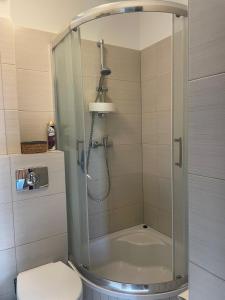 une douche avec une porte vitrée à côté des toilettes dans l'établissement Agroturystka Dom w Owocowym Sadzie, à Nowosielce Kozickie 25 autres photos