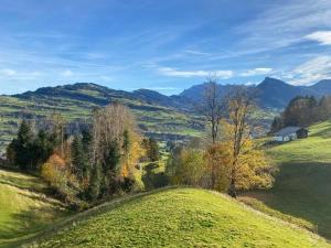 una ladera verde con un granero a lo lejos en Haus Zum Reh, en Krummenau