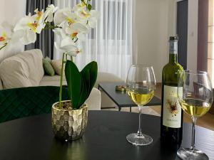 Ποτά στο FILIP Lux Apartman sa garažom +15 φωτογραφίες