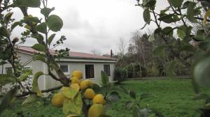 Aed väljaspool majutusasutust Großes Ferienhaus In Müggendorf Mit Garten