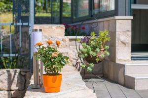 Zahrada ubytování Ferienhaus Für 5 Personen Ca 218 M Sup2 In Podgora, Dalmatien Gespanschaft Split Dalmatien