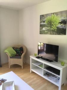 a living room with a flat screen tv and a chair at Ferienwohnung Schoenk In Havetoft in Havetoft +6 photos