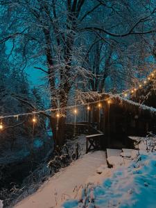 Ostoja nad potokiem Dwernik v zimě